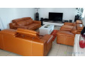 salon-croute-de-cuir-small-4