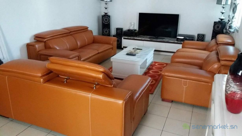 salon-croute-de-cuir-big-4