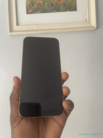iphone-12-pro-max-big-2