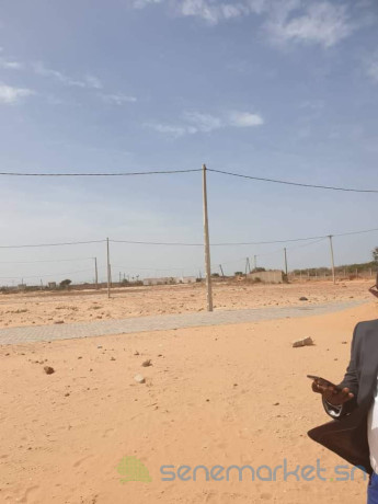 des-terrains-terrains-a-vendre-a-diakhiratee-titre-foncier-big-0