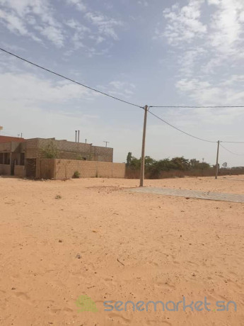 des-terrains-terrains-a-vendre-a-diakhiratee-titre-foncier-big-2