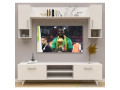 meuble-tv-a-vendre-small-4