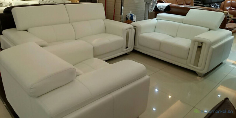 salons-en-croute-de-cuir6-big-2