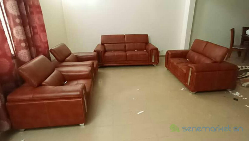 salons-en-croute-de-cuir6-big-1