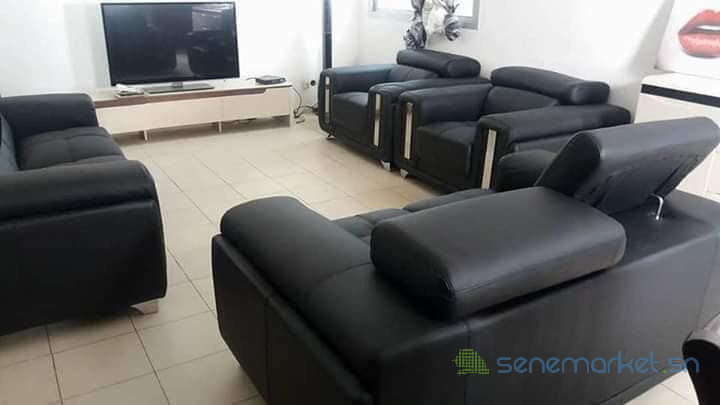 salons-en-croute-de-cuir6-big-0