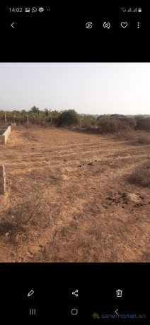 terrain-200m2-a-vendre-toubab-dialaw-big-0