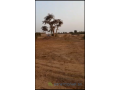 terrain-a-vendre-300-m2-small-1