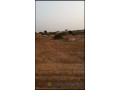terrain-a-vendre-300-m2-small-2