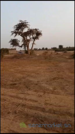 terrain-a-vendre-300-m2-big-1