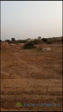 terrain-a-vendre-300-m2-big-2