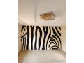 villa-a-louer-zac-mbao-small-2