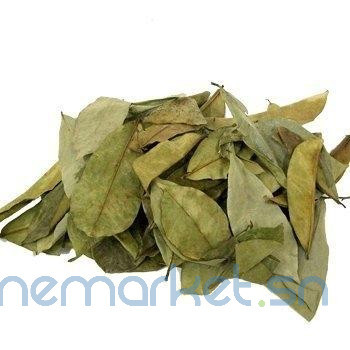 poudre-de-feuilles-de-graviola-corossol-bio-big-1