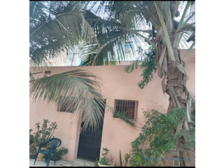 Villa 6 pièces de 200m2 à vendre aux Maristes