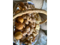 panier-beignets-assortis-small-0