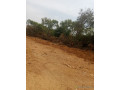 2-terrains-de-400-metres-carres-a-saly-golf-small-3