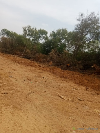 2-terrains-de-400-metres-carres-a-saly-golf-big-3