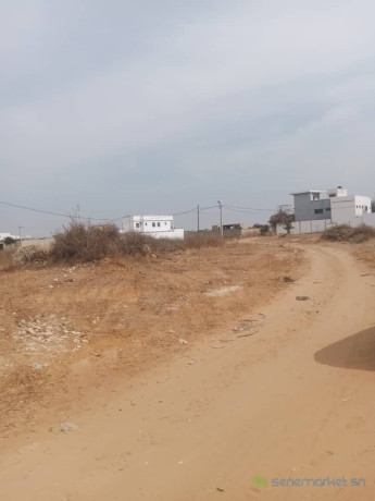2-terrains-de-400-metres-carres-a-saly-golf-big-1