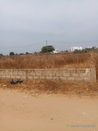 2-terrains-de-400-metres-carres-a-saly-golf-big-0