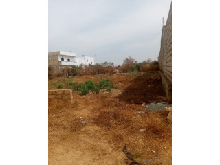 Terrain de 300 metres carres a saly (A)
