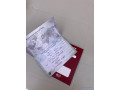 vente-de-chiots-male-bichon-maltais-vaccine-et-vermifuge-accessoires-small-4