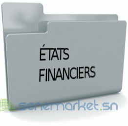 montage-des-etats-financiers-big-0