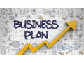 redaction-de-business-plan-small-0