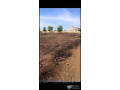 2hectares-1er-position-sur-la-rn1-mbour-small-1
