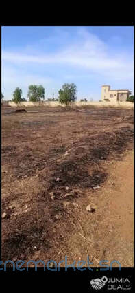 2hectares-1er-position-sur-la-rn1-mbour-big-2