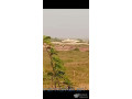 25-hectares-au-pole-urbain-de-daga-kholpa-small-0