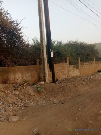 terrain-de-300-metres-carres-a-saly-rene-merceron-big-1
