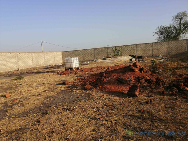 6-terrains-de-300m2-chacun-soit-1800m2-a-vendre-a-mbodiene-big-3
