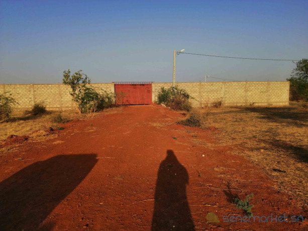 6-terrains-de-300m2-chacun-soit-1800m2-a-vendre-a-mbodiene-big-0