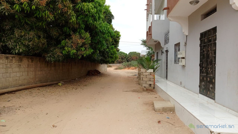 terrain-de-300-metres-carres-a-mbour-big-1