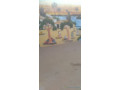 bar-restaurant-small-0