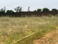 terrain-a-vendre-a-diass-small-0