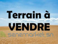 a-vendre-des-terrains-de150m2-a-diamniadio-small-1