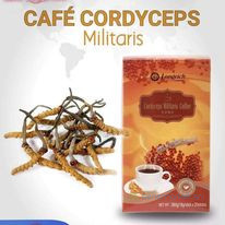 cafe-decafeine-au-cordiceps-militaris-big-0