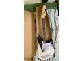 guitare-electrique-6-cordes-small-2