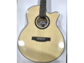 guitare-acoustique-seche-small-1
