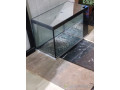 aquarium-small-0