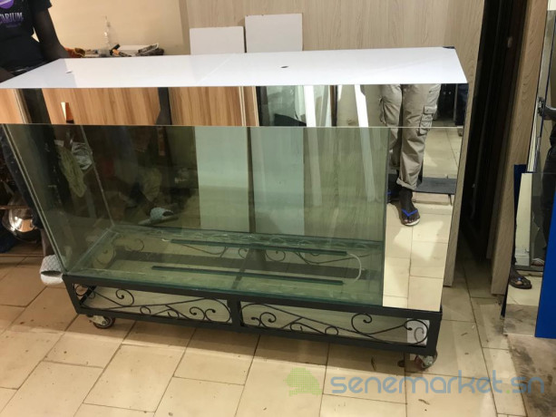 aquarium-big-4
