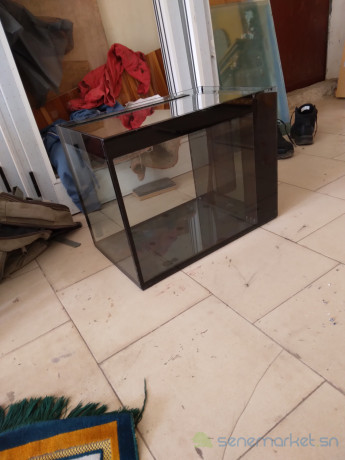 aquarium-big-2