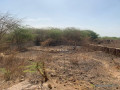 a-vendre-a-toubab-dialow-un-terrain-constructible-de-450m2-proche-de-la-route-small-0