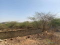 a-vendre-a-toubab-dialow-un-terrain-constructible-de-450m2-proche-de-la-route-small-1