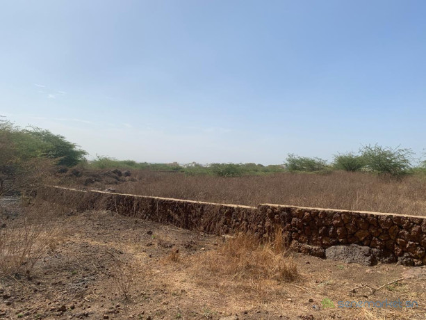 a-vendre-a-toubab-dialow-un-terrain-constructible-de-450m2-proche-de-la-route-big-2
