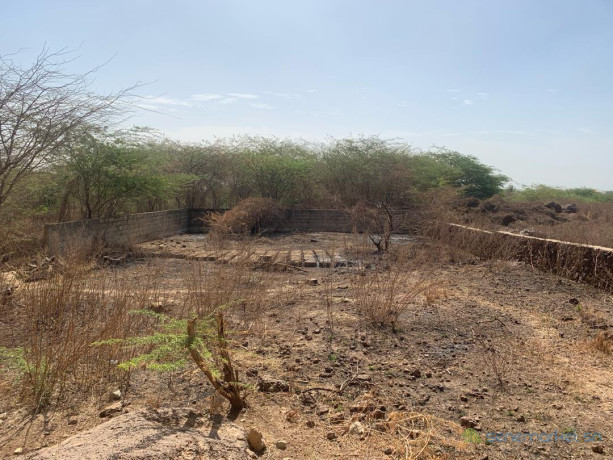 a-vendre-a-toubab-dialow-un-terrain-constructible-de-450m2-proche-de-la-route-big-0