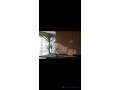 vente-panneau-mural-decoratif-small-4