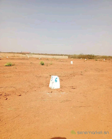 terrains-225m2-landou-diass-vue-direct-peage-big-0