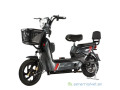 moto-electrique-2-places-small-2