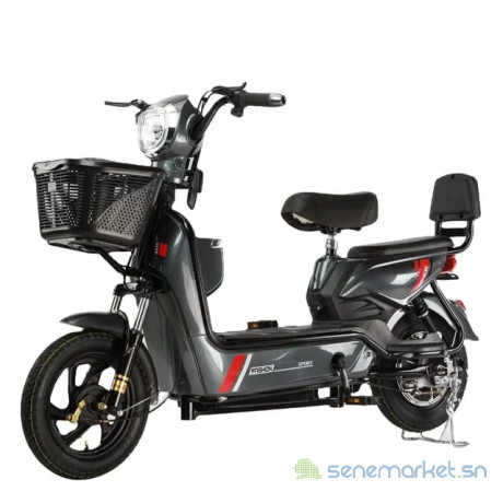 moto-electrique-2-places-big-2